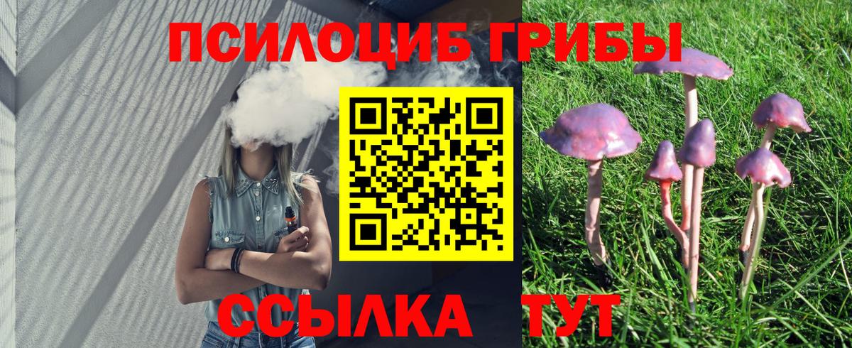 Псилоцибиновые грибы мухоморы Раменское