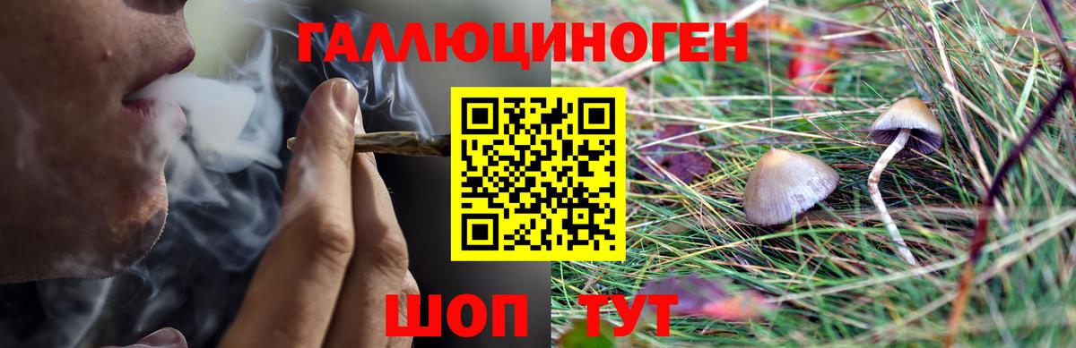 Раменское  Псилоцибиновые грибы Cubensis  Вход с VPN  Галлюциногенные грибы мухоморы 